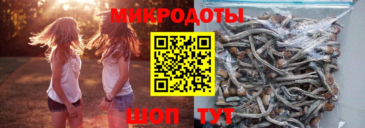 где можно купить наркотик  Галлюциногенные грибы Cubensis  Вход с VPN  Протвино  Галлюциногенные грибы ЛСД 